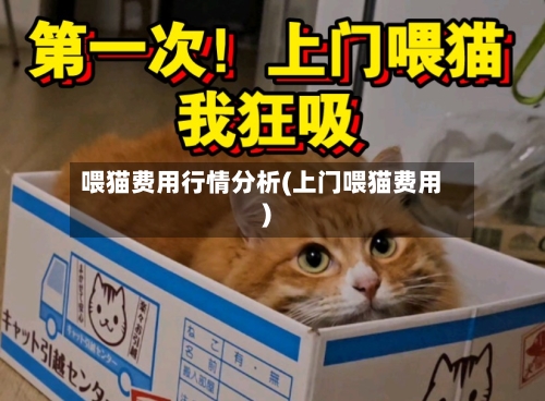喂猫费用行情分析(上门喂猫费用)