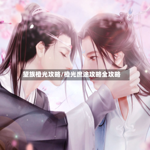 望族橙光攻略/橙光庶途攻略全攻略