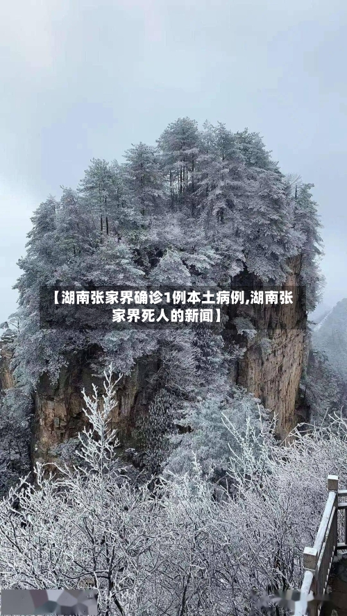 【湖南张家界确诊1例本土病例,湖南张家界死人的新闻】-第3张图片