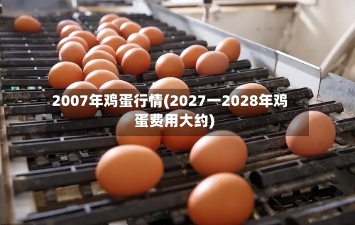 2007年鸡蛋行情(2027一2028年鸡蛋费用大约)