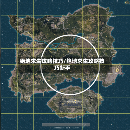 绝地求生攻略技巧/绝地求生攻略技巧新手