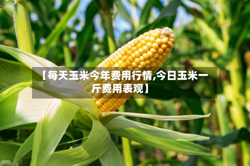 【每天玉米今年费用行情,今日玉米一斤费用表观】