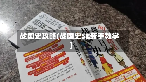 战国史攻略(战国史SE新手教学)-第1张图片