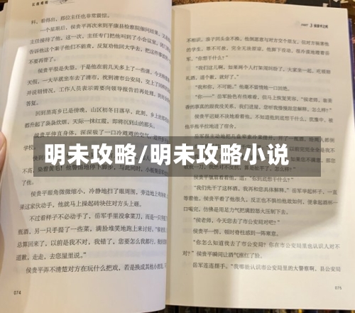 明未攻略/明未攻略小说-第2张图片