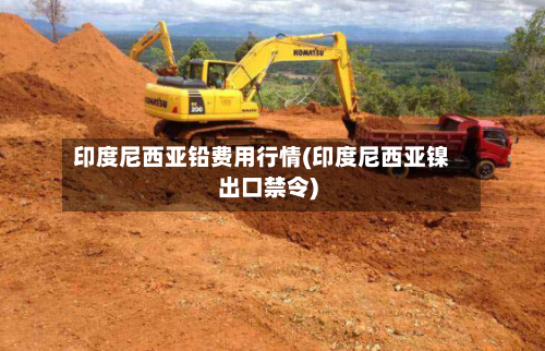 印度尼西亚铅费用行情(印度尼西亚镍出口禁令)