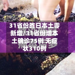 31省份昨日本土零新增/31省份增本土确诊75例 无症状310例-第3张图片