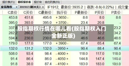 股指期权行情在哪儿看(股指期权入门全新正版)-第1张图片