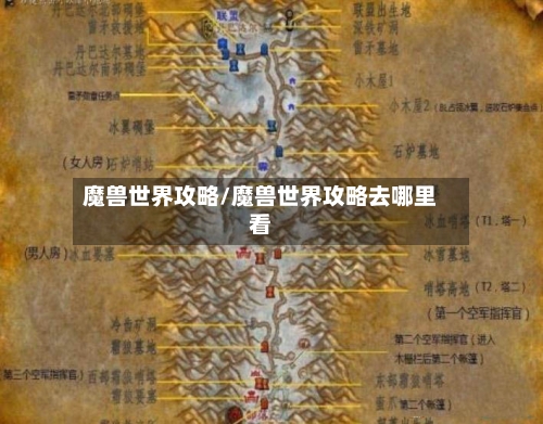 魔兽世界攻略/魔兽世界攻略去哪里看