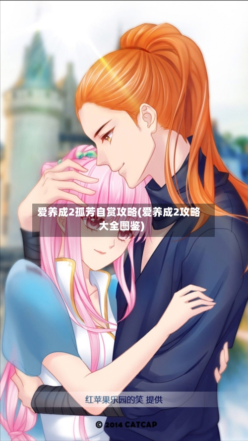 爱养成2孤芳自赏攻略(爱养成2攻略大全图鉴)