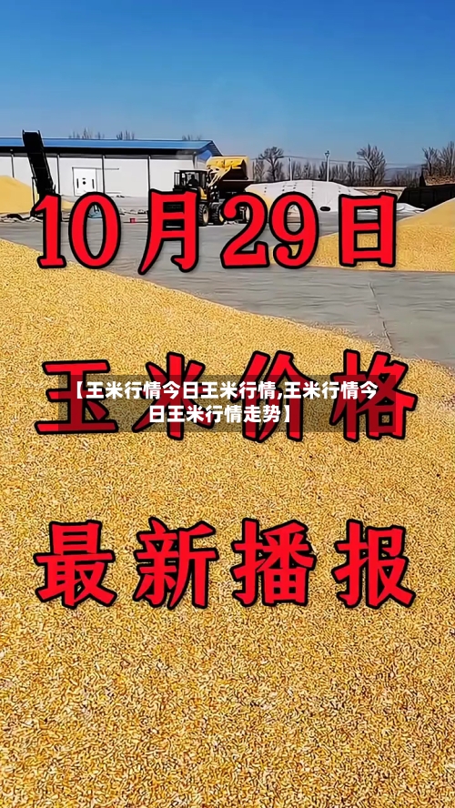 【王米行情今日王米行情,王米行情今日王米行情走势】