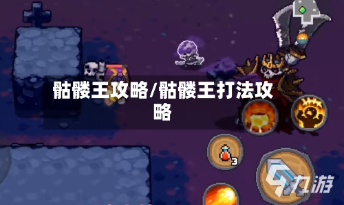 骷髅王攻略/骷髅王打法攻略-第3张图片