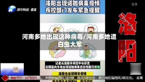 河南多地出现这种病毒/河南多地遭白虫大军