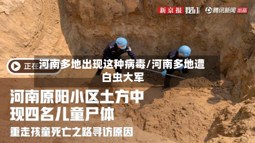 河南多地出现这种病毒/河南多地遭白虫大军-第3张图片