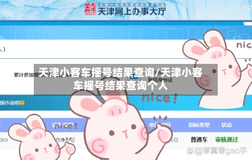 天津小客车摇号结果查询/天津小客车摇号结果查询个人-第2张图片