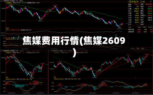 焦媒费用行情(焦媒2609)