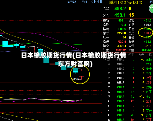 日本橡胶期货行情(日本橡胶期货行情东方财富网)-第2张图片