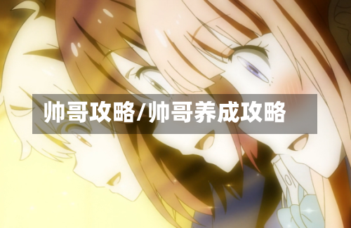 帅哥攻略/帅哥养成攻略