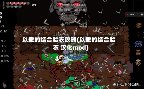 以撒的结合胎衣攻略(以撒的结合胎衣 汉化mod)