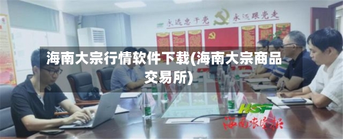 海南大宗行情软件下载(海南大宗商品交易所)