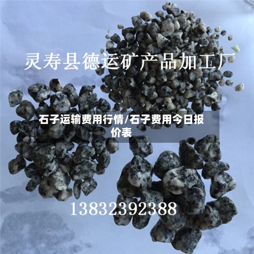 石子运输费用行情/石子费用今日报价表
