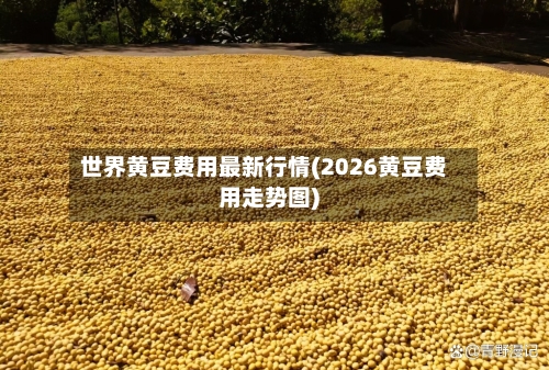 世界黄豆费用最新行情(2026黄豆费用走势图)