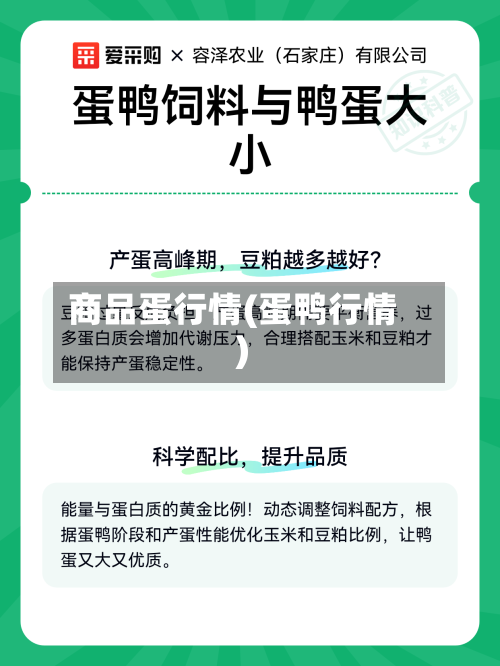商品蛋行情(蛋鸭行情)-第2张图片