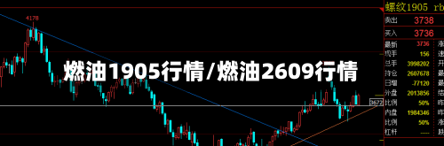 燃油1905行情/燃油2609行情-第2张图片