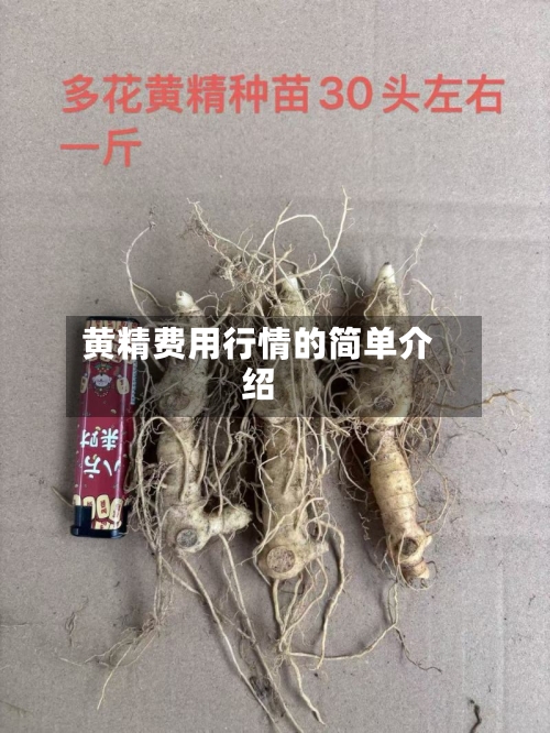 黄精费用行情的简单介绍