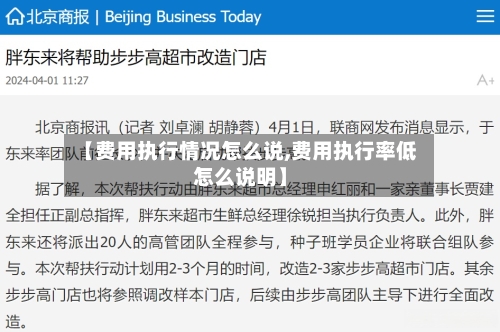 【费用执行情况怎么说,费用执行率低怎么说明】