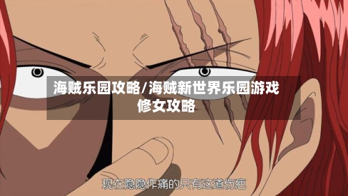 海贼乐园攻略/海贼新世界乐园游戏修女攻略