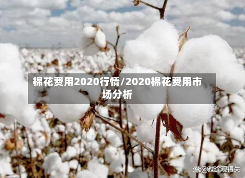 棉花费用2020行情/2020棉花费用市场分析-第2张图片