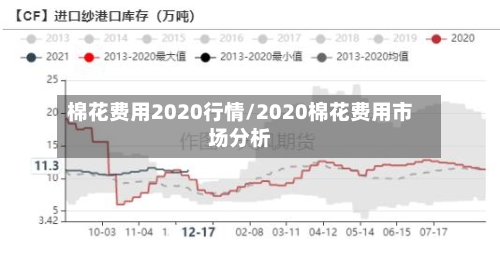 棉花费用2020行情/2020棉花费用市场分析-第3张图片