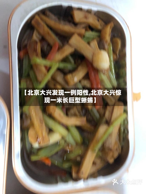 【北京大兴发现一例阳性,北京大兴惊现一米长巨型蜥蜴】
