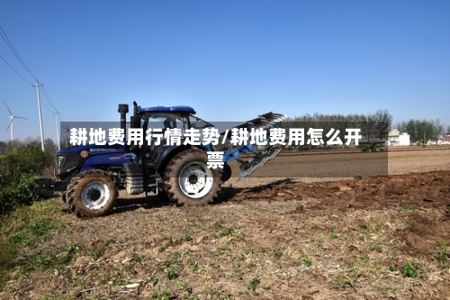 耕地费用行情走势/耕地费用怎么开票