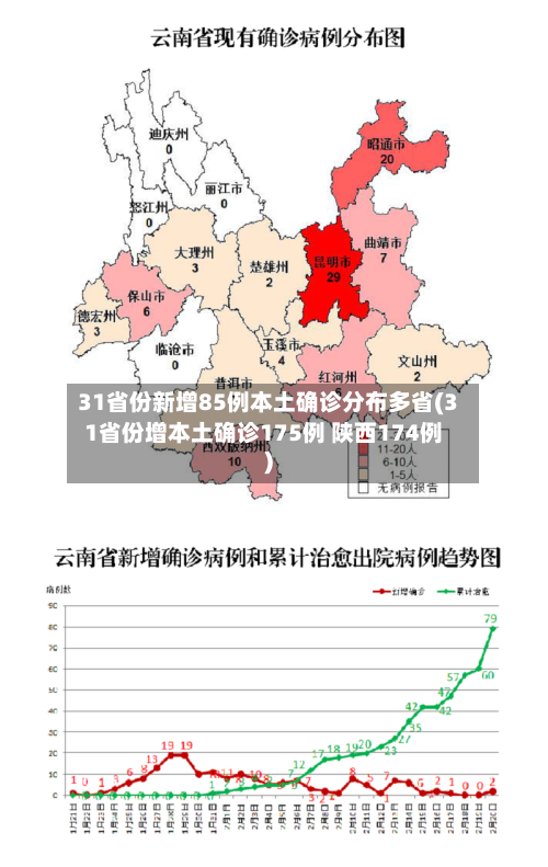 31省份新增85例本土确诊分布多省(31省份增本土确诊175例 陕西174例)-第2张图片