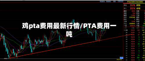 鸡pta费用最新行情/PTA费用一吨