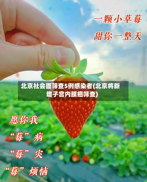 北京社会面筛查5例感染者(北京将新增子宫内膜癌筛查)