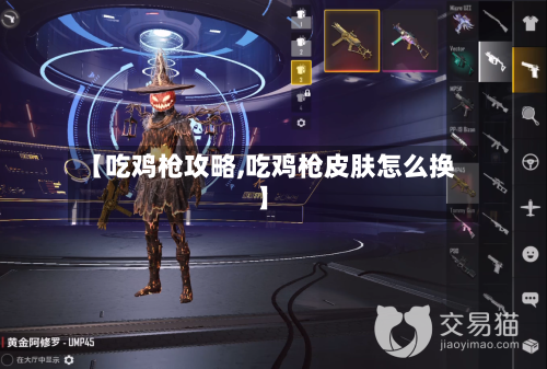 【吃鸡枪攻略,吃鸡枪皮肤怎么换】