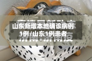 山东新增本地确诊病例1例/山东1例患者-第3张图片