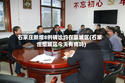 石家庄新增8例确诊均在藁城区(石家庄藁城区今天有雨吗)-第2张图片