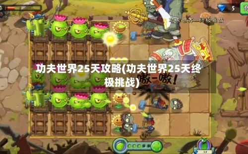 功夫世界25天攻略(功夫世界25天终极挑战)