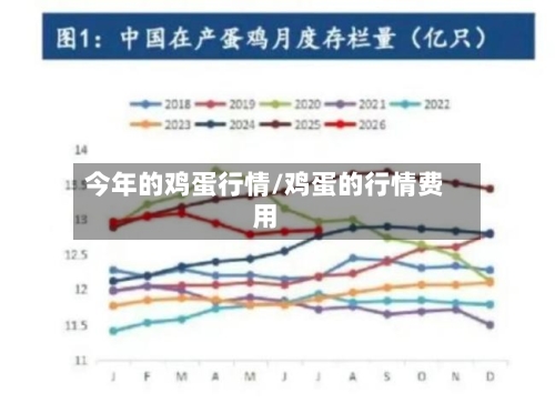 今年的鸡蛋行情/鸡蛋的行情费用