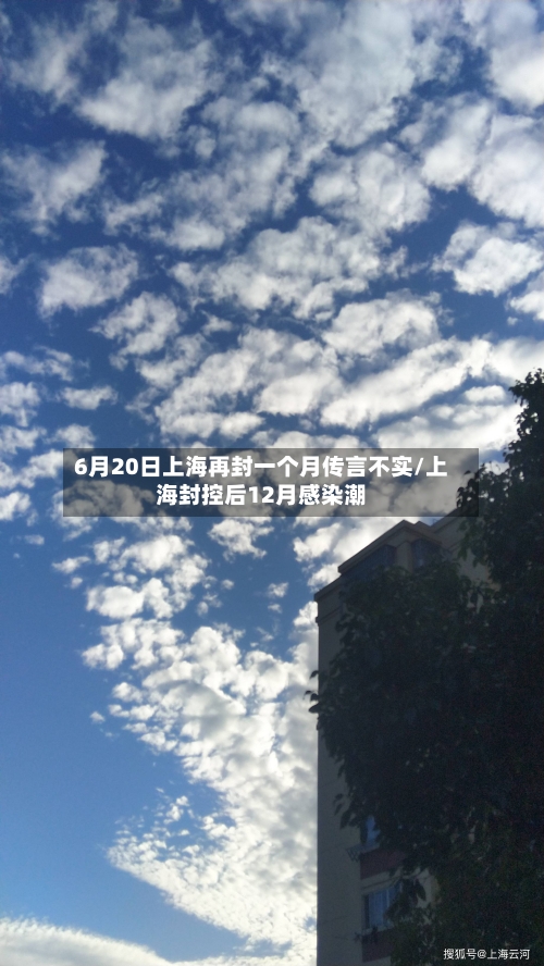 6月20日上海再封一个月传言不实/上海封控后12月感染潮-第2张图片