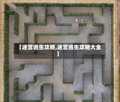 【迷宫逃生攻略,迷宫逃生攻略大全】-第3张图片