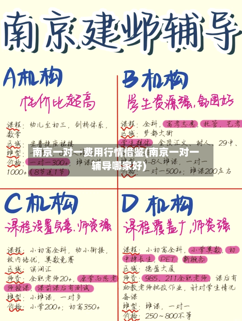 南京一对一费用行情借鉴(南京一对一辅导哪家好)-第2张图片