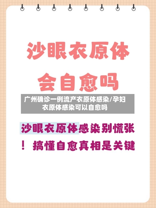 广州确诊一例流产衣原体感染/孕妇衣原体感染可以自愈吗