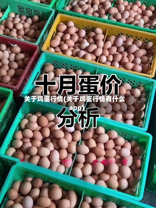 关于鸡蛋行情(关于鸡蛋行情有什么app)