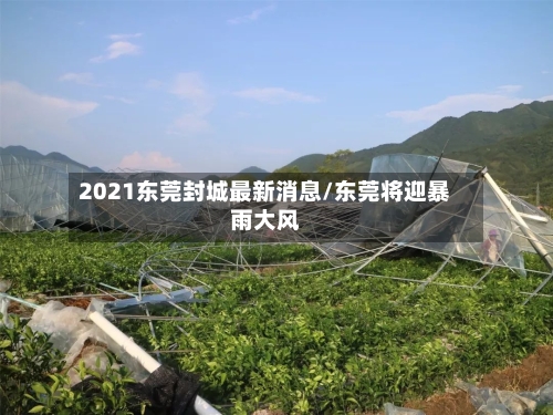 2021东莞封城最新消息/东莞将迎暴雨大风-第2张图片