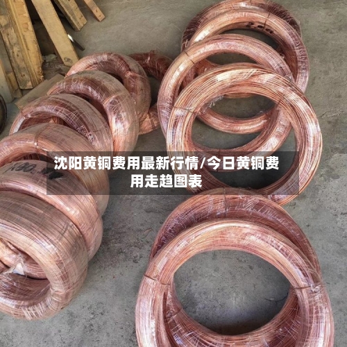 沈阳黄铜费用最新行情/今日黄铜费用走趋图表-第3张图片