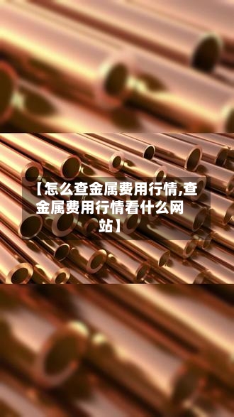 【怎么查金属费用行情,查金属费用行情看什么网站】-第3张图片
